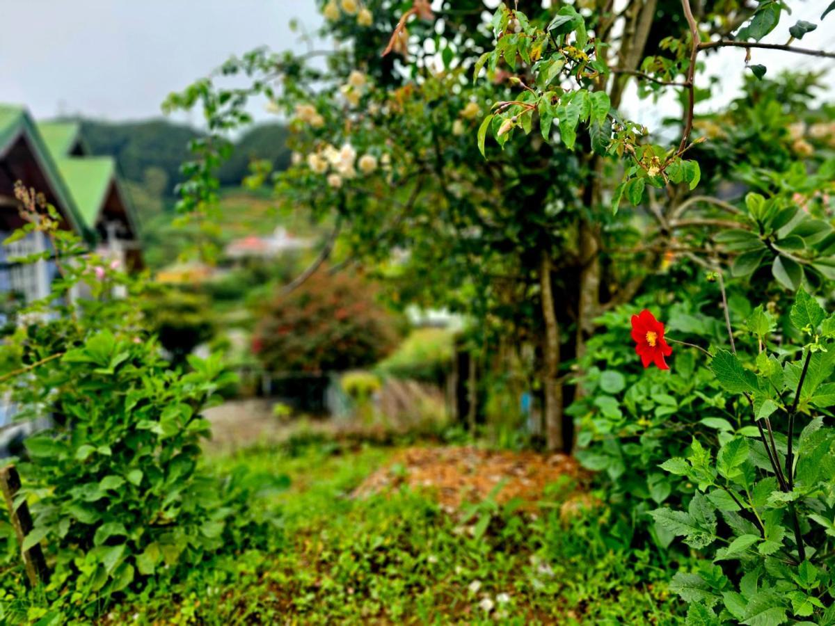 Haven Chalet Nuwara Eliya Dış mekan fotoğraf