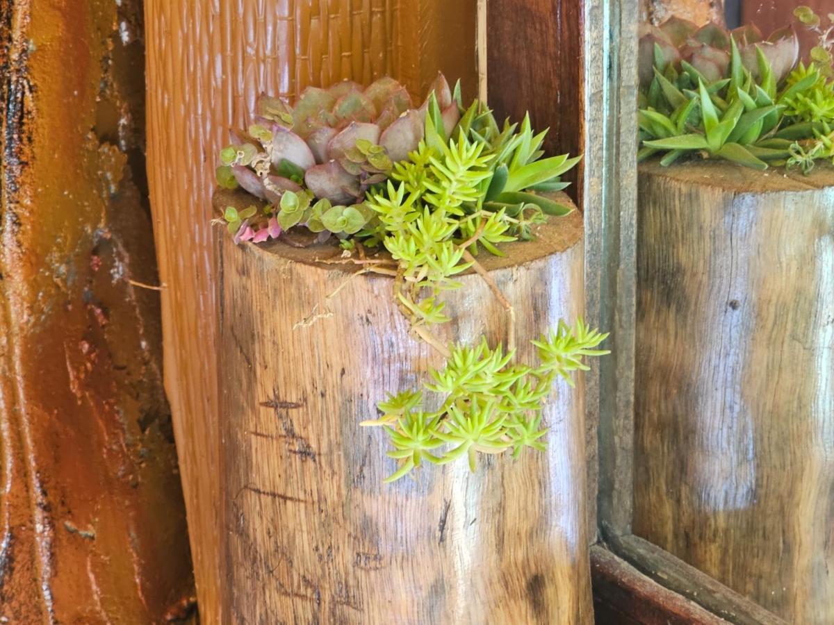 Haven Chalet Nuwara Eliya Dış mekan fotoğraf